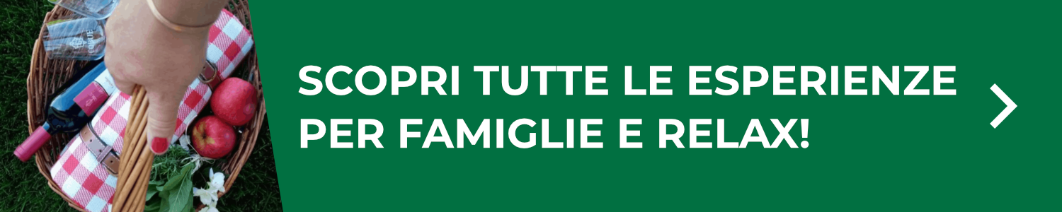 Gite in Treno | Divertimento e relax
