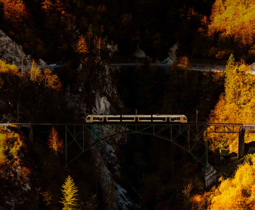 Ferrovia Vigezzina-Centovalli