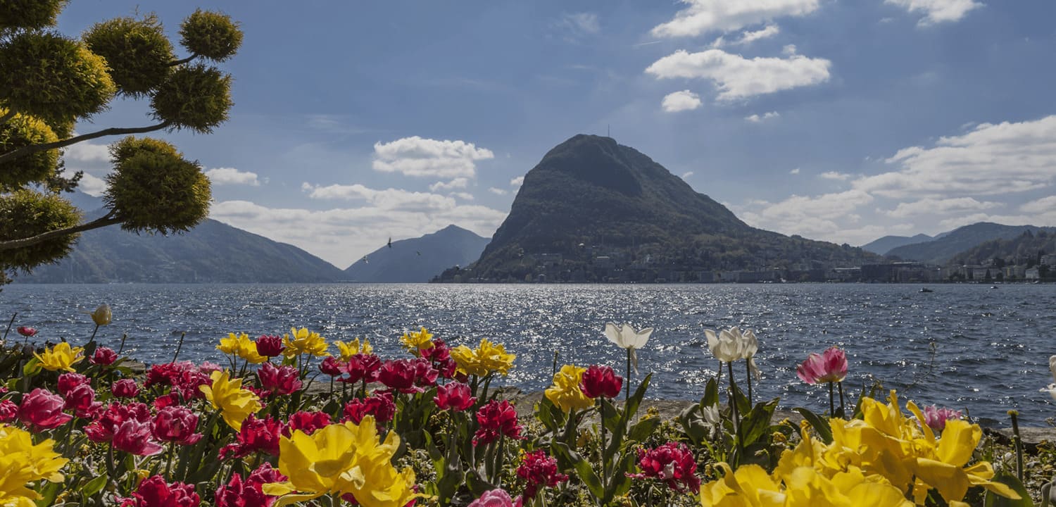 Perle del Lago di Lugano