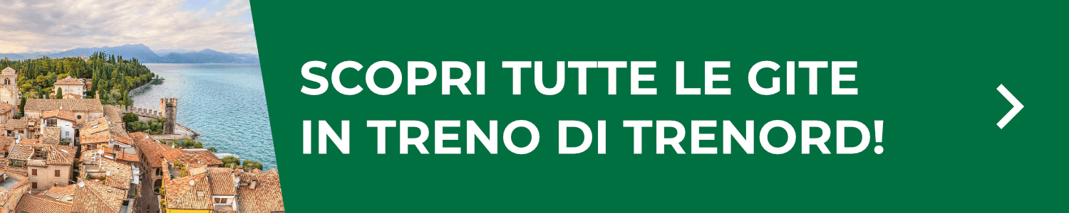 Gite in Treno